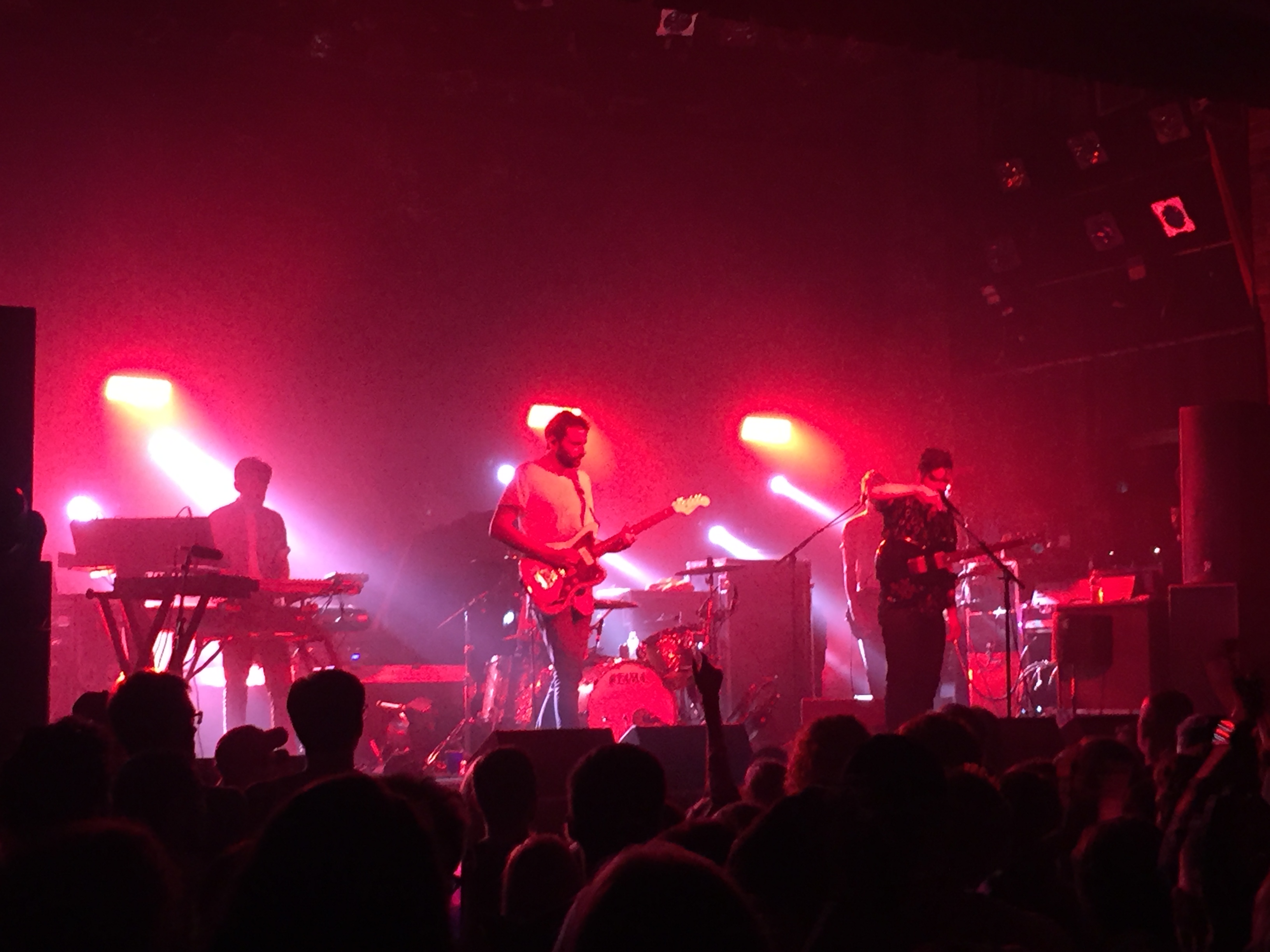Foals